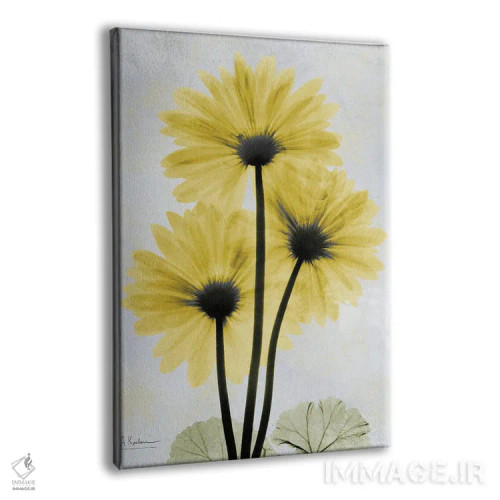 تابلو ژربرای طلایی اثر آلبرت کوئتسیِر - نمای پرسپکتیو محصول
