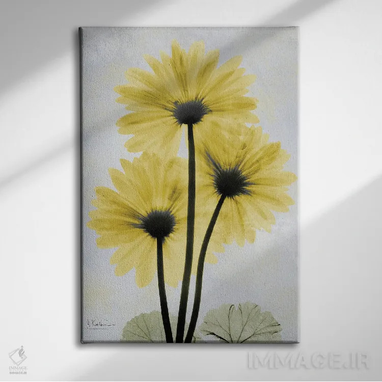 تابلو ژربرای طلایی اثر آلبرت کوئتسیِر - نمای روبهرو روی دیوار