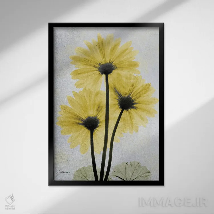 تابلو ژربرای طلایی اثر آلبرت کوئتسیِر - نمای قابدار مشکی