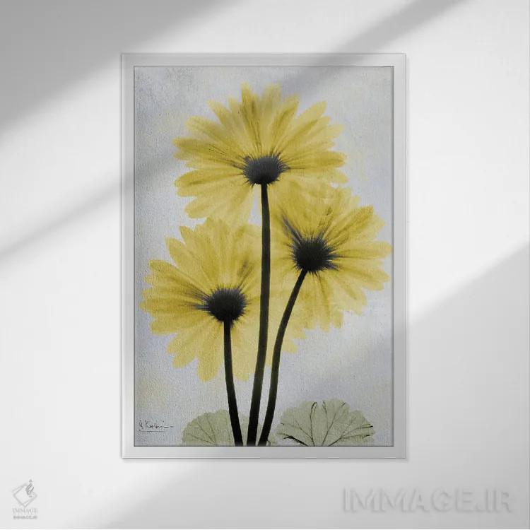 تابلو ژربرای طلایی اثر آلبرت کوئتسیِر - نمای قابدار سفید