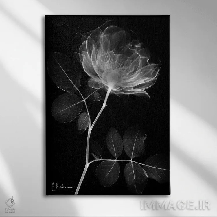 تابلو سلسلهٔ رز سیاه I اثر آلبرت کوئتسیِر - نمای روبهرو روی دیوار