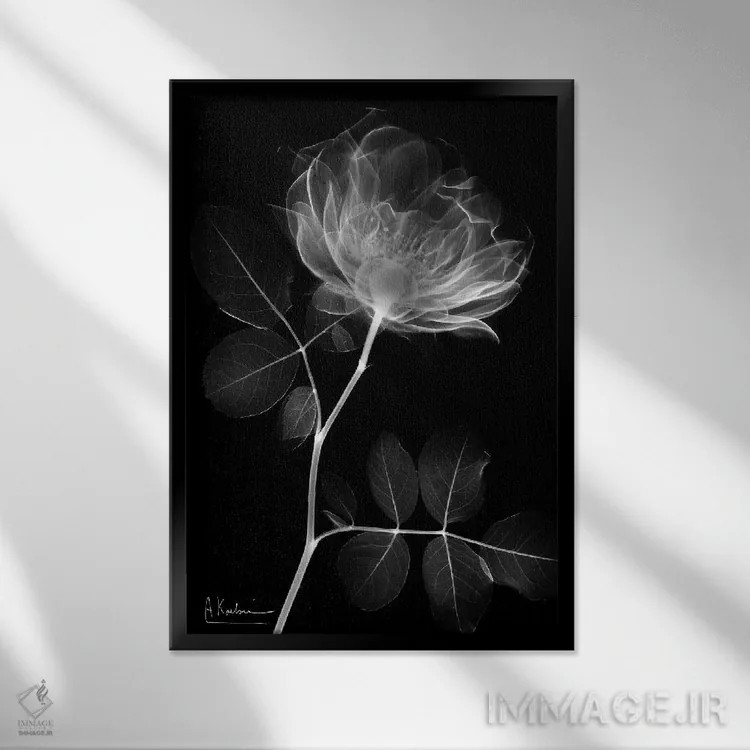 تابلو سلسلهٔ رز سیاه I اثر آلبرت کوئتسیِر - نمای قابدار مشکی