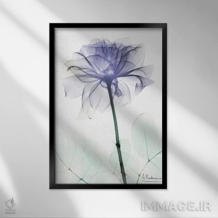 تابلو رز وریپری II (رنگ خاص) اثر آلبرت کوئتسیِر - نمای قابدار مشکی