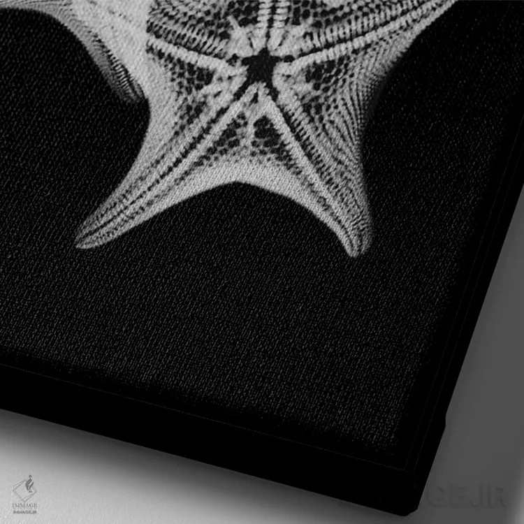 تابلو کولاژ ستاره دریایی اثر آلبرت کوئتسیِر - نمای نزدیک بافت بوم