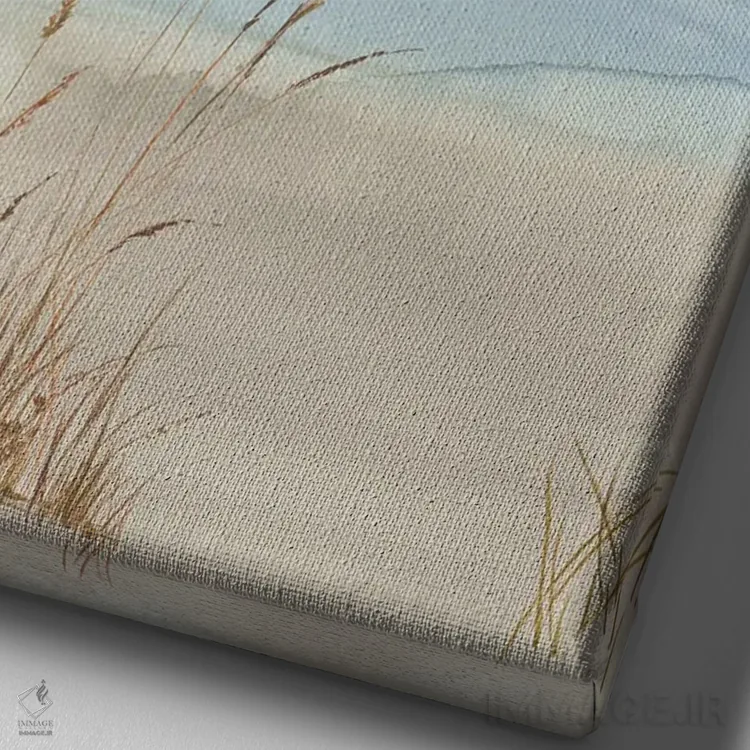 تابلو چمن ساحلی نرم II اثر آلیسون پیرس - نمای نزدیک بافت بوم