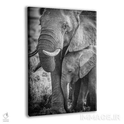 تابلو ذخیرهگاه ملی ماسایی مارا، شهرستان ناروک، کنیا III اثر الکس بیوس - نمای پرسپکتیو محصول