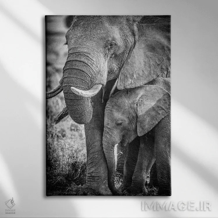 تابلو ذخیرهگاه ملی ماسایی مارا، شهرستان ناروک، کنیا III اثر الکس بیوس - نمای روبهرو روی دیوار