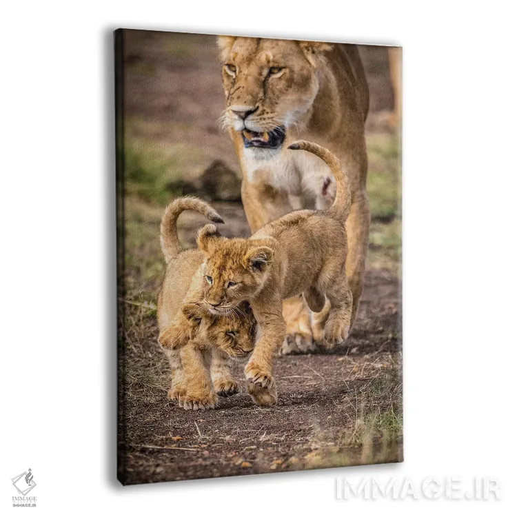 تابلو ذخیرهگاه ملی ماسایی مارا، شهرستان ناروک، کنیا V اثر الکس بیوس - نمای پرسپکتیو محصول