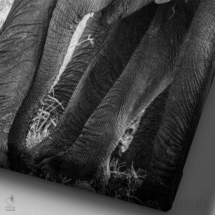 تابلو ذخیرهگاه ملی ماسایی مارا، شهرستان ناروک، کنیا III اثر الکس بیوس - نمای نزدیک بافت بوم