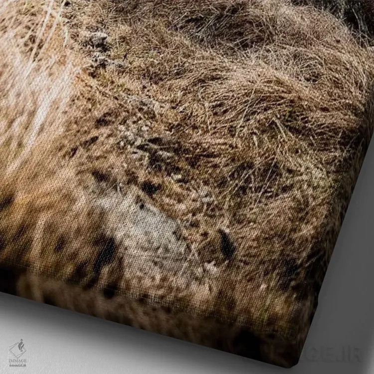 تابلو دوندهٔ مسیر در پلن د لایگوئی، شامونی، فرانسه اثر الکس بیوس - نمای نزدیک بافت بوم