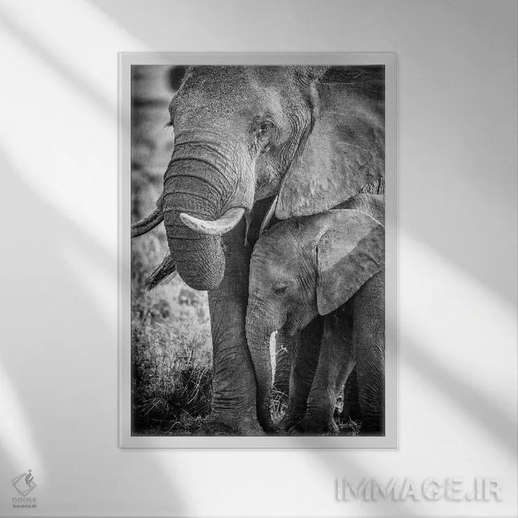 تابلو ذخیرهگاه ملی ماسایی مارا، شهرستان ناروک، کنیا III اثر الکس بیوس - نمای قابدار سفید