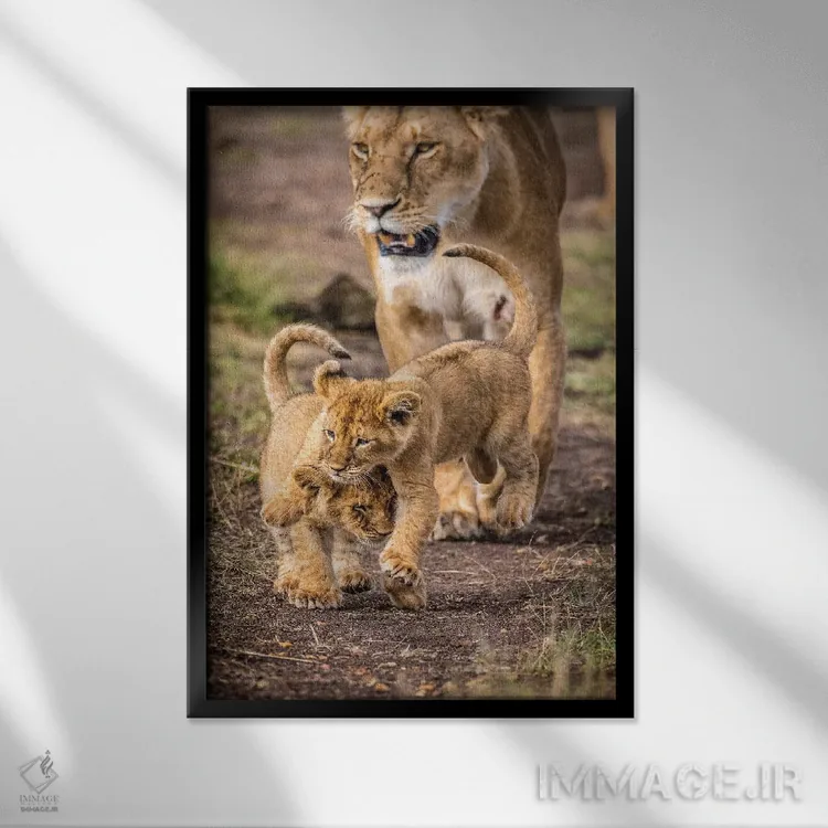 تابلو ذخیرهگاه ملی ماسایی مارا، شهرستان ناروک، کنیا V اثر الکس بیوس - نمای قابدار مشکی