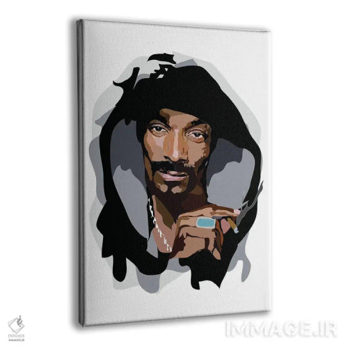 تابلو اسنوپ داگ (رپر آمریکایی) اثر آنا مککی - نمای پرسپکتیو محصول