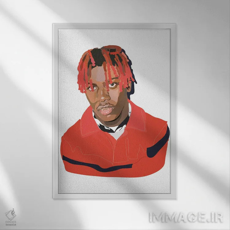 تابلو لیل یاچی (رپر آمریکایی) اثر آنا مککی - نمای قابدار سفید