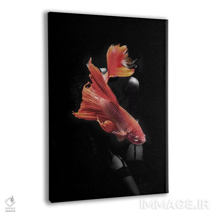 تابلو ماهیگیری VII اثر تاتیانا آمرِین - نمای پرسپکتیو محصول