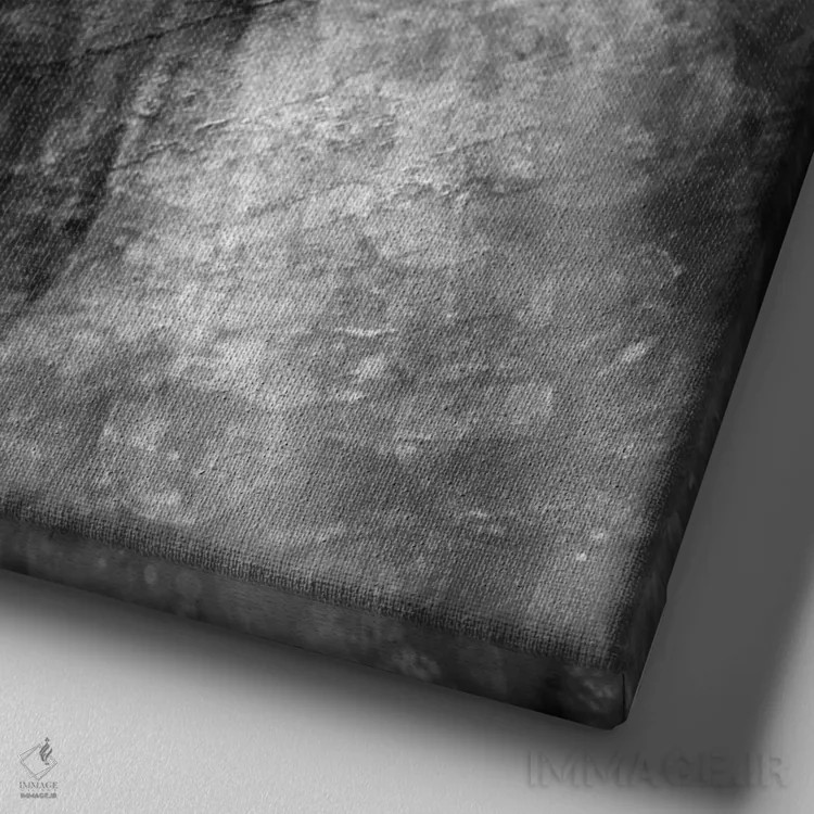 تابلو سیاه و سفید II اثر تاتیانا آمرِین - نمای نزدیک بافت بوم