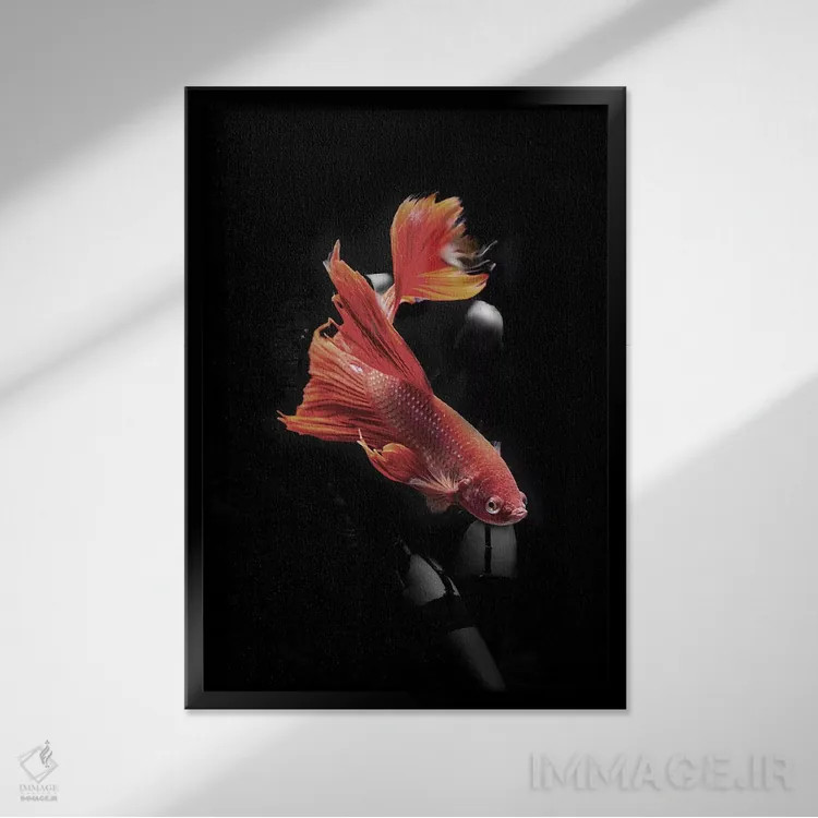 تابلو ماهیگیری VII اثر تاتیانا آمرِین - نمای قابدار مشکی