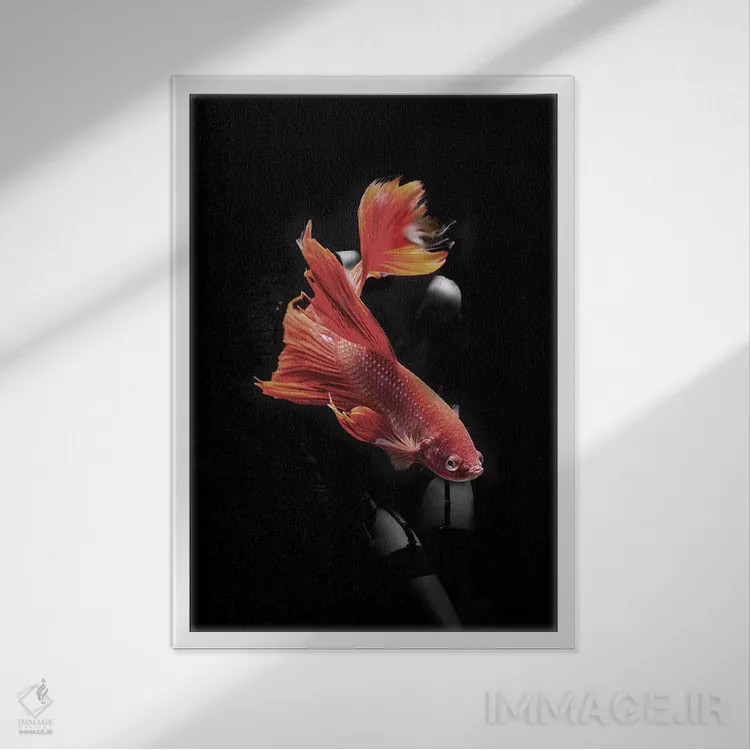 تابلو ماهیگیری VII اثر تاتیانا آمرِین - نمای قابدار سفید