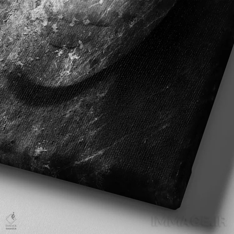 تابلو سیاه و سفید III اثر تاتیانا آمرِین - نمای نزدیک بافت بوم