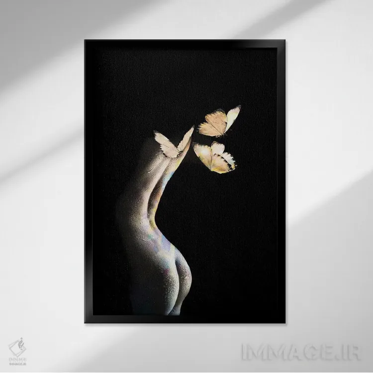 تابلو پروانهها اثر تاتیانا آمرِین - نمای قابدار مشکی