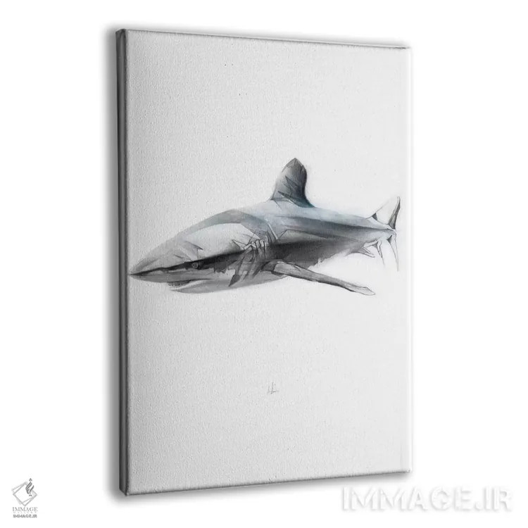 تابلو کوسه I اثر الکسیس مارکو - نمای پرسپکتیو محصول