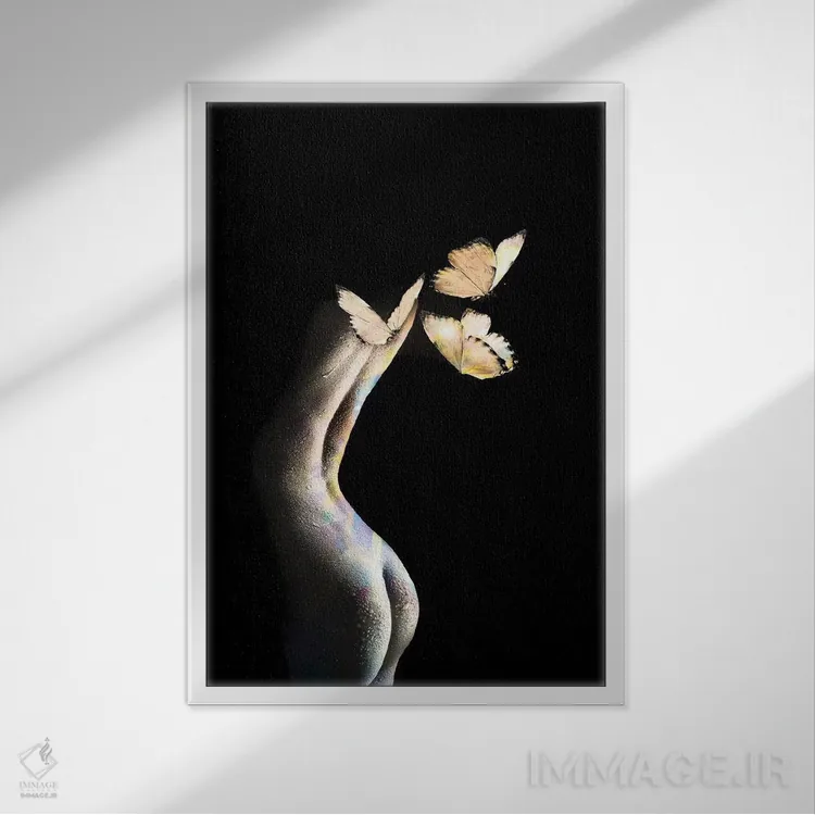 تابلو پروانهها اثر تاتیانا آمرِین - نمای قابدار سفید