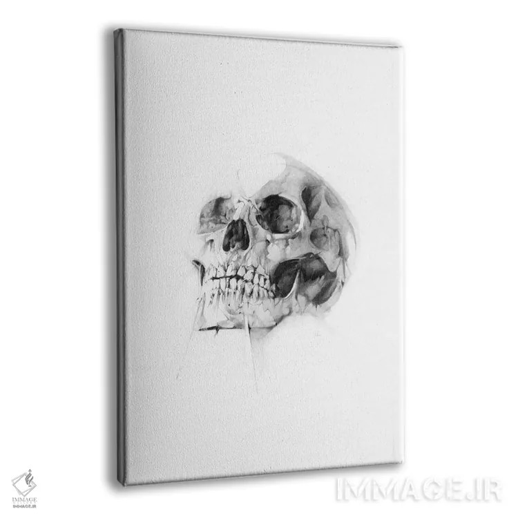 تابلو جمجمه LII اثر الکسیس مارکو - نمای پرسپکتیو محصول