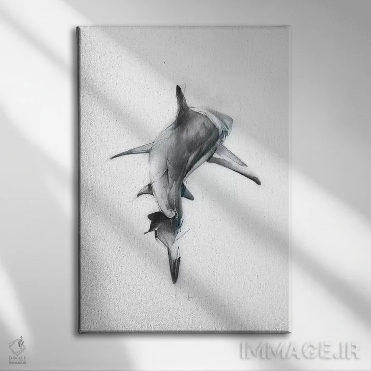 تابلو کوسه III اثر الکسیس مارکو - نمای روبهرو روی دیوار
