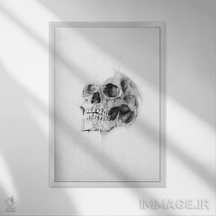 تابلو جمجمه LII اثر الکسیس مارکو - نمای قابدار سفید