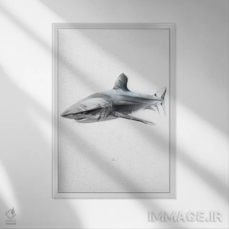تابلو کوسه I اثر الکسیس مارکو - نمای قابدار سفید