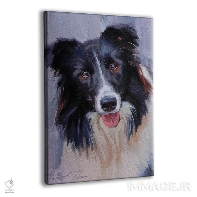 تابلو بردر کولی (نژاد سگ) اثر الکس مووچون - نمای پرسپکتیو محصول