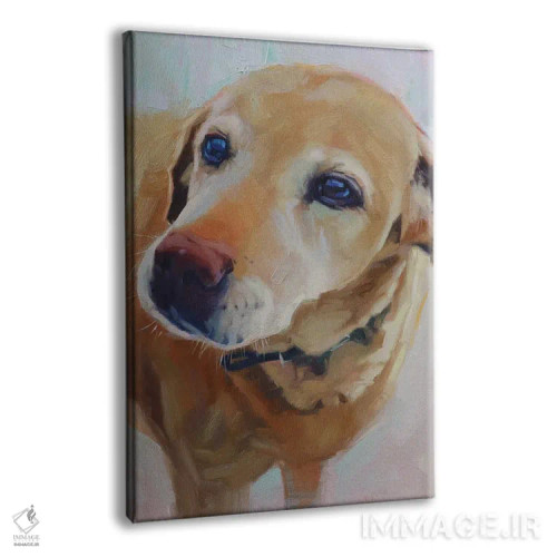 تابلو پرترهٔ لابرادور زرد اثر الکس مووچون - نمای پرسپکتیو محصول