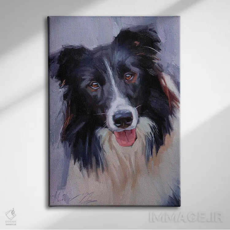 تابلو بردر کولی (نژاد سگ) اثر الکس مووچون - نمای روبهرو روی دیوار