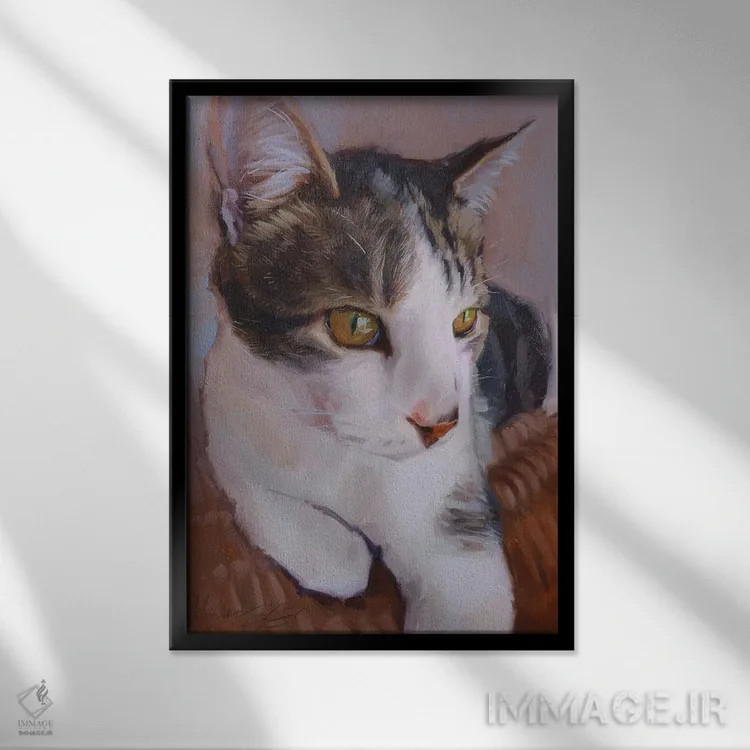 تابلو پرترهٔ گربهٔ سفید و خاکستری اثر الکس مووچون - نمای قابدار مشکی