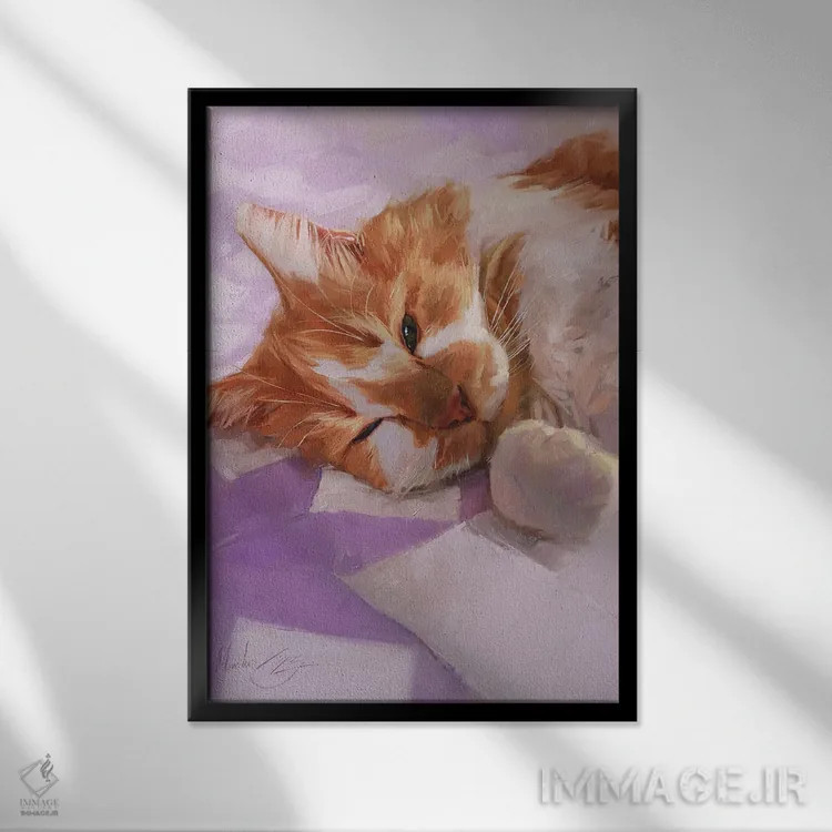 تابلو گربهٔ خوابآلود، گربهٔ سفید و قرمز اثر الکس مووچون - نمای قابدار مشکی