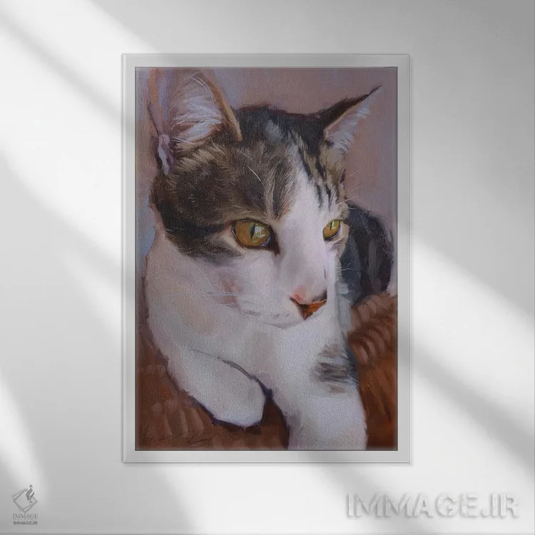 تابلو پرترهٔ گربهٔ سفید و خاکستری اثر الکس مووچون - نمای قابدار سفید