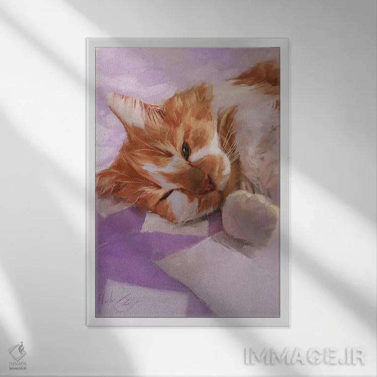 تابلو گربهٔ خوابآلود، گربهٔ سفید و قرمز اثر الکس مووچون - نمای قابدار سفید