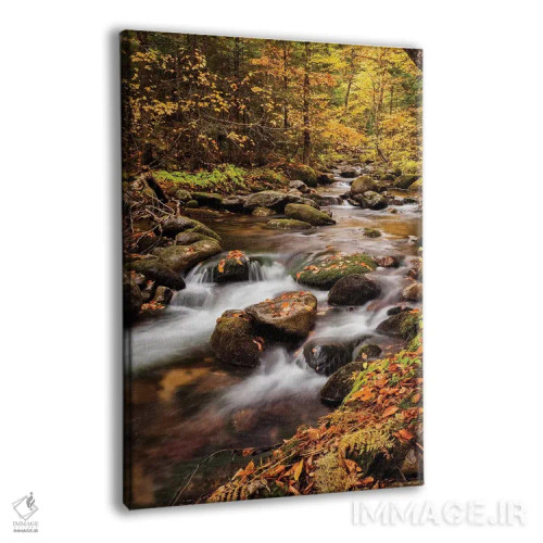 تابلو آمریکا، نیوهمپشایر، کوههای سفید، رنگهای پاییزی در بروک جفرسون ۲ اثر آن کالینز - نمای پرسپکتیو محصول