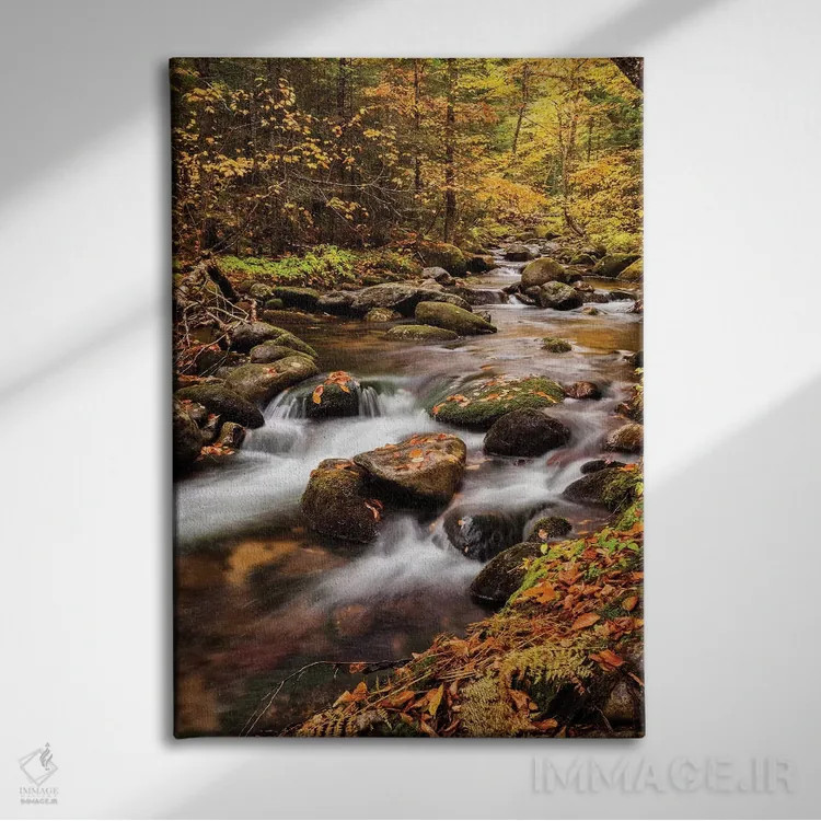 تابلو آمریکا، نیوهمپشایر، کوههای سفید، رنگهای پاییزی در بروک جفرسون ۲ اثر آن کالینز - نمای روبهرو روی دیوار