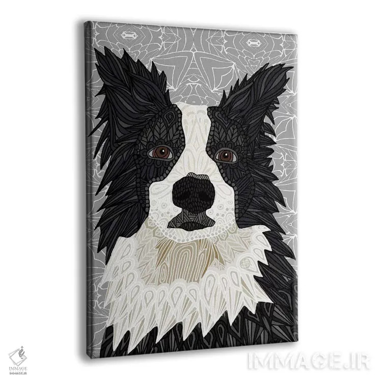تابلو بردر کولی (سگ) اثر آنجلیکا پارکر - نمای پرسپکتیو محصول