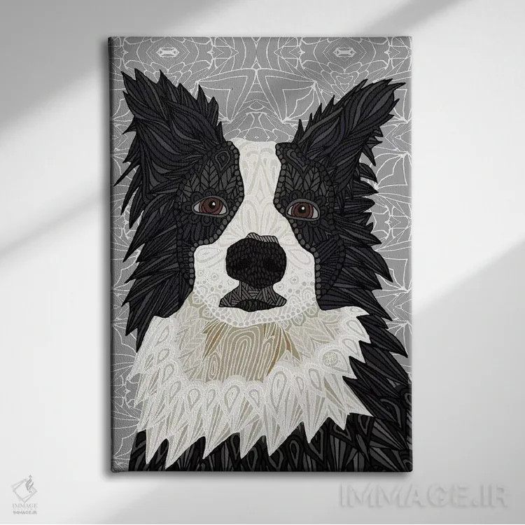 تابلو بردر کولی (سگ) اثر آنجلیکا پارکر - نمای روبهرو روی دیوار