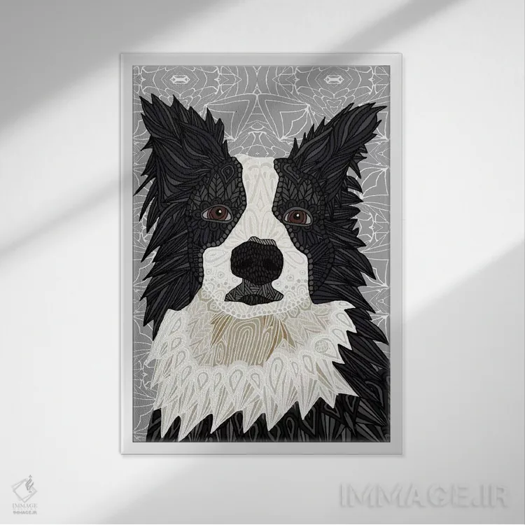 تابلو بردر کولی (سگ) اثر آنجلیکا پارکر - نمای قابدار سفید