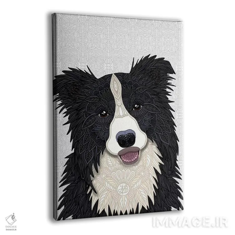 تابلو بردر کولی بامزه (سگ) اثر آنجلیکا پارکر - نمای پرسپکتیو محصول