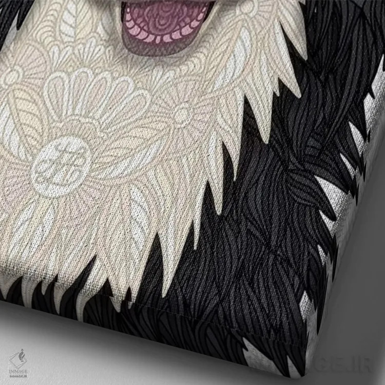 تابلو بردر کولی بامزه (سگ) اثر آنجلیکا پارکر - نمای نزدیک بافت بوم