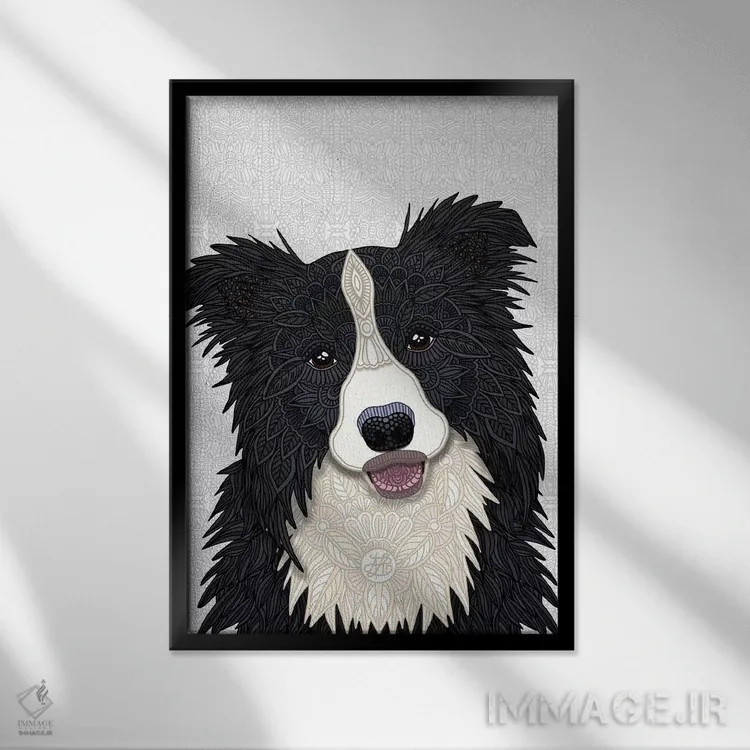 تابلو بردر کولی بامزه (سگ) اثر آنجلیکا پارکر - نمای قابدار مشکی