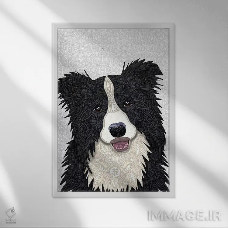 تابلو بردر کولی بامزه (سگ) اثر آنجلیکا پارکر - نمای قابدار سفید