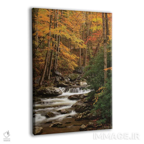 تابلو Tennesse. Fall foliage along a stream in the Smoky Mountains.,آمریکا، تنسی. برگهای پاییزی در امتداد رودخانهای در کوههای اسموکی اثر جوآن ولز - نمای پرسپکتیو محصول