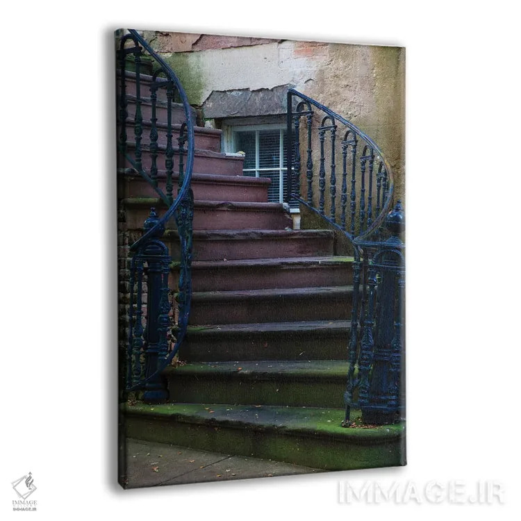 تابلو Georgia, Savannah. Wrought iron railing at home in the Historic District.,آمریکا، جورجیا، ساوانا. نرده آهنی پیچخورده در خانهای از منطقه تاریخی اثر جوآن ولز - نمای پرسپکتیو محصول