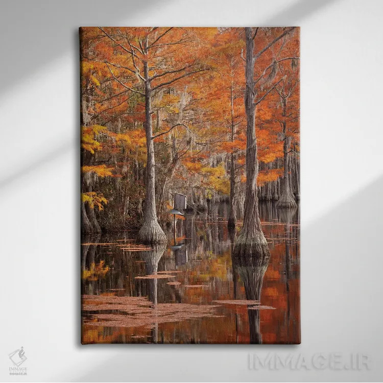 تابلو George Smith State Park, Georgia. Fall cypress trees with wood duck box.,آمریکا، پارک ایالتی جرج اسمیت، جورجیا. درختان سرو پاییزی همراه با جعبه اردک چوبی اثر جوآن ولز - نمای روبهرو روی دیوار