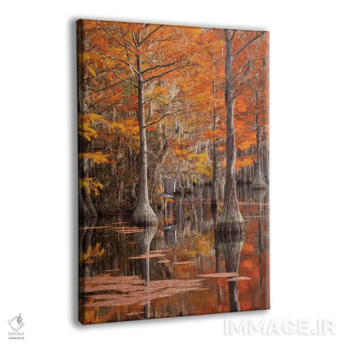 تابلو George Smith State Park, Georgia. Fall cypress trees with wood duck box.,آمریکا، پارک ایالتی جرج اسمیت، جورجیا. درختان سرو پاییزی همراه با جعبه اردک چوبی اثر جوآن ولز - نمای پرسپکتیو محصول